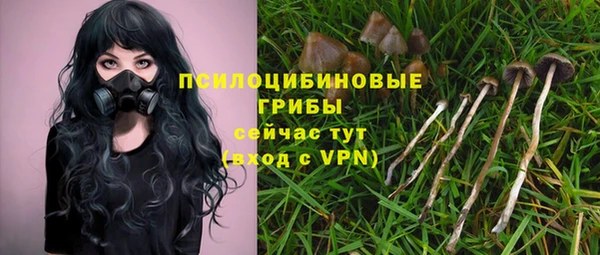 прущий лед Осташков