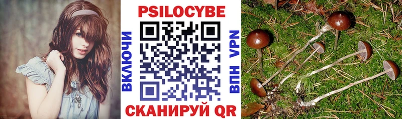 Галлюциногенные грибы мухоморы  Снежногорск 